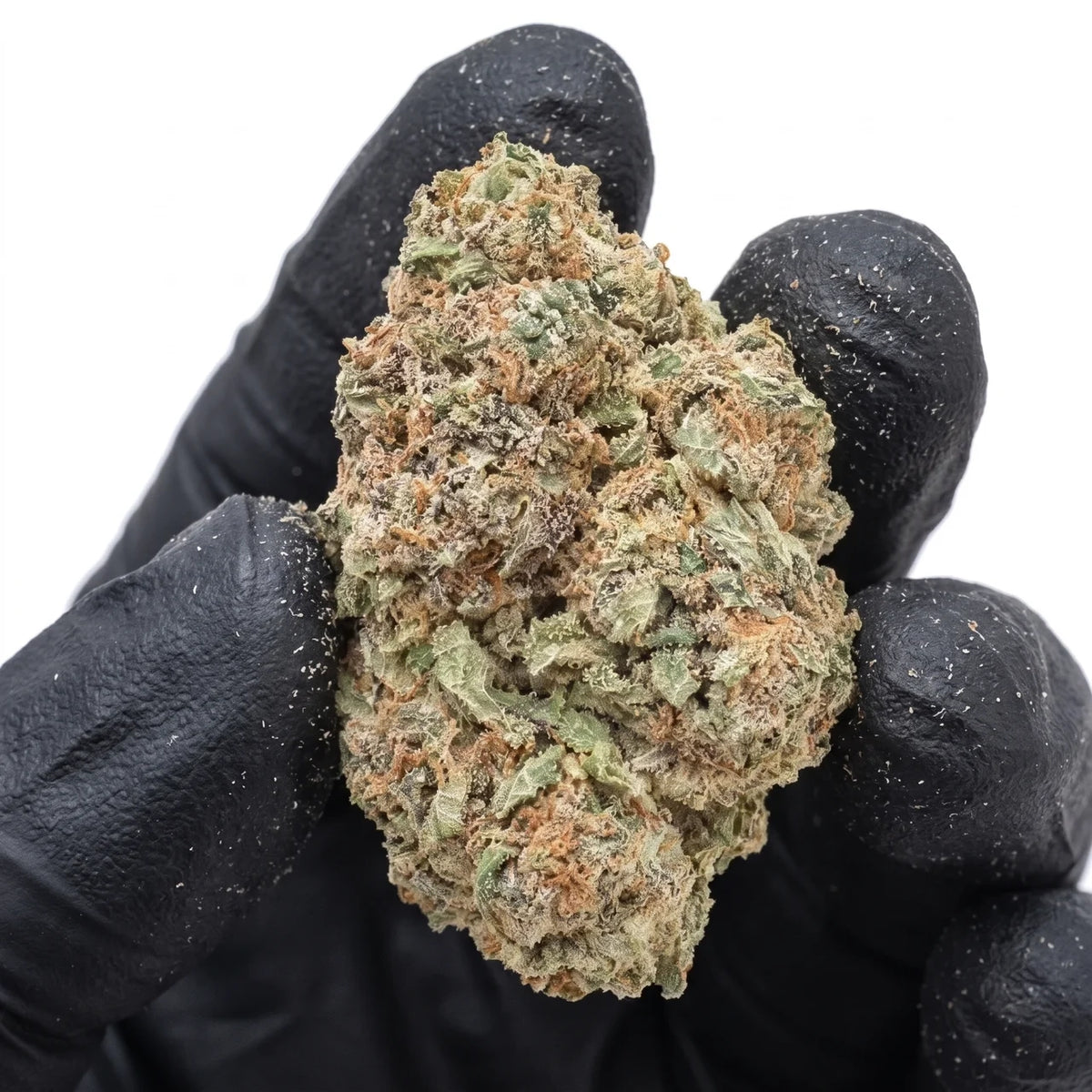Blue Buzzballz nug held in a gloved hand, illustrative