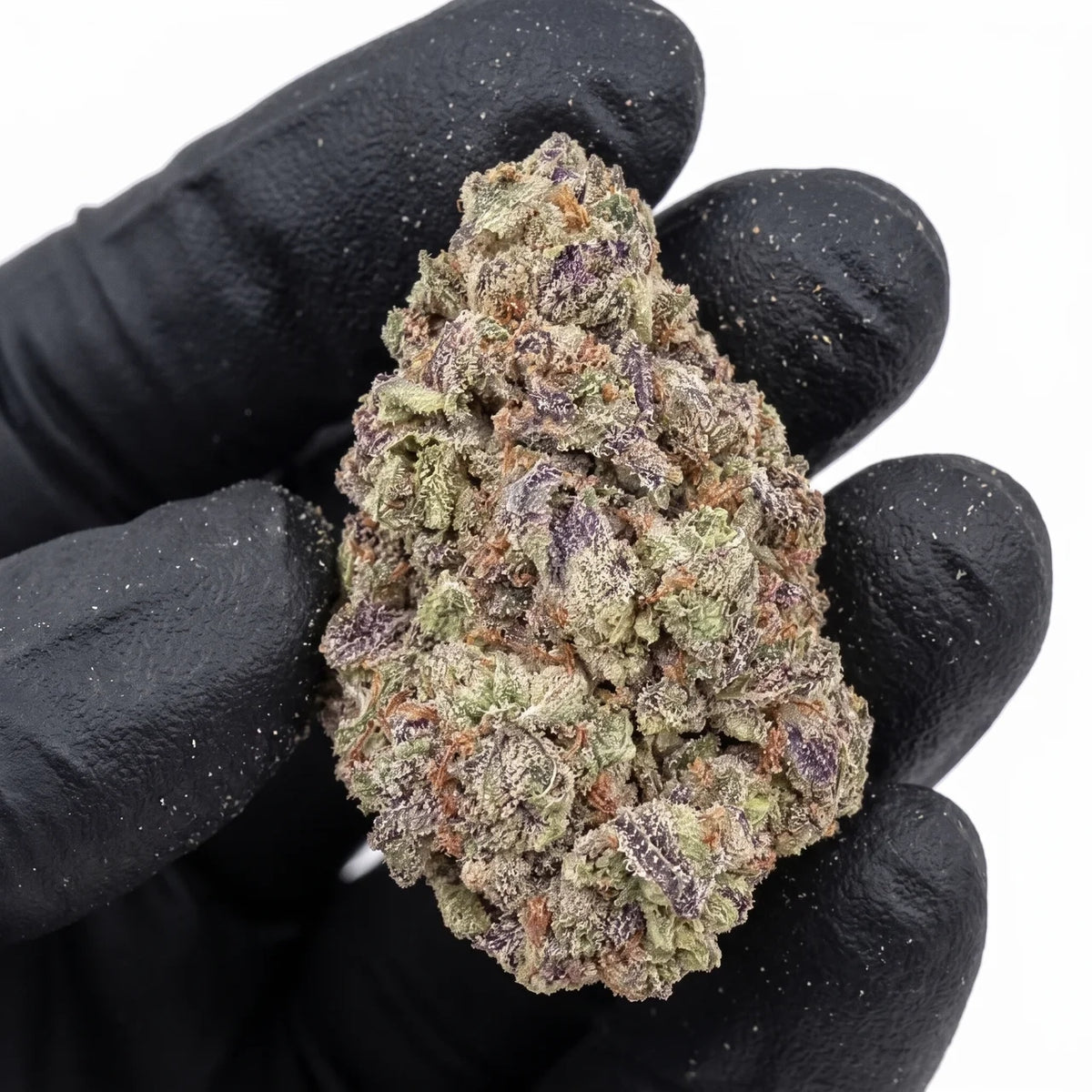 Blueberry Gumballz nug held in a gloved hand, illustrative