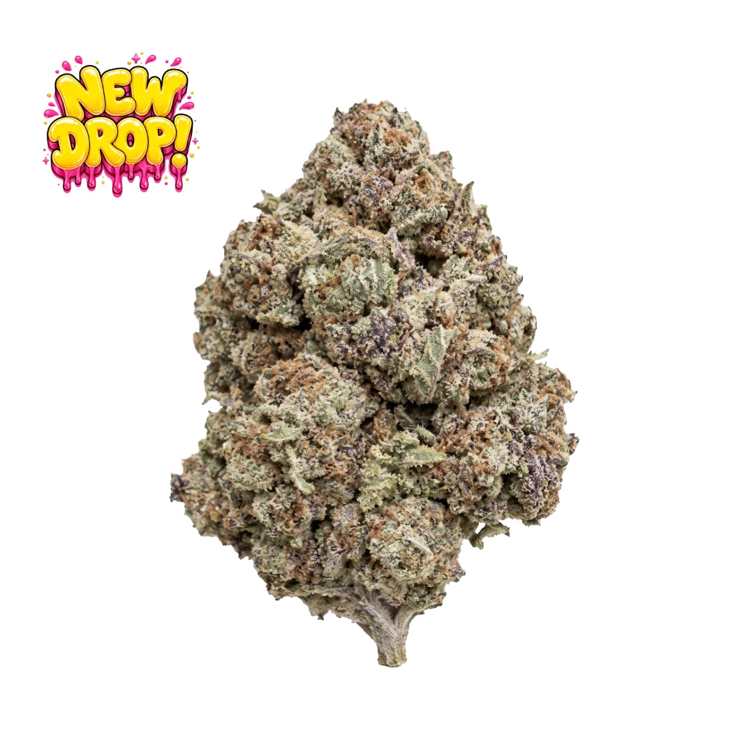 Açaí Zlushie studio nug on white background with New Drop graphic