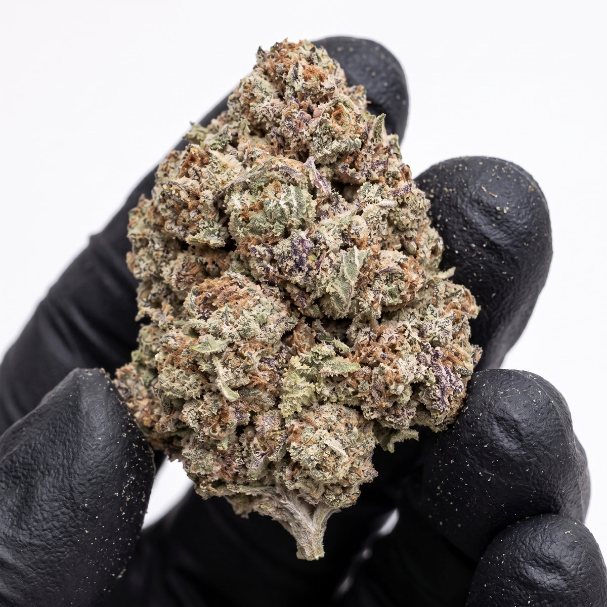 Açaí Zlushie studio nug held in a black glove