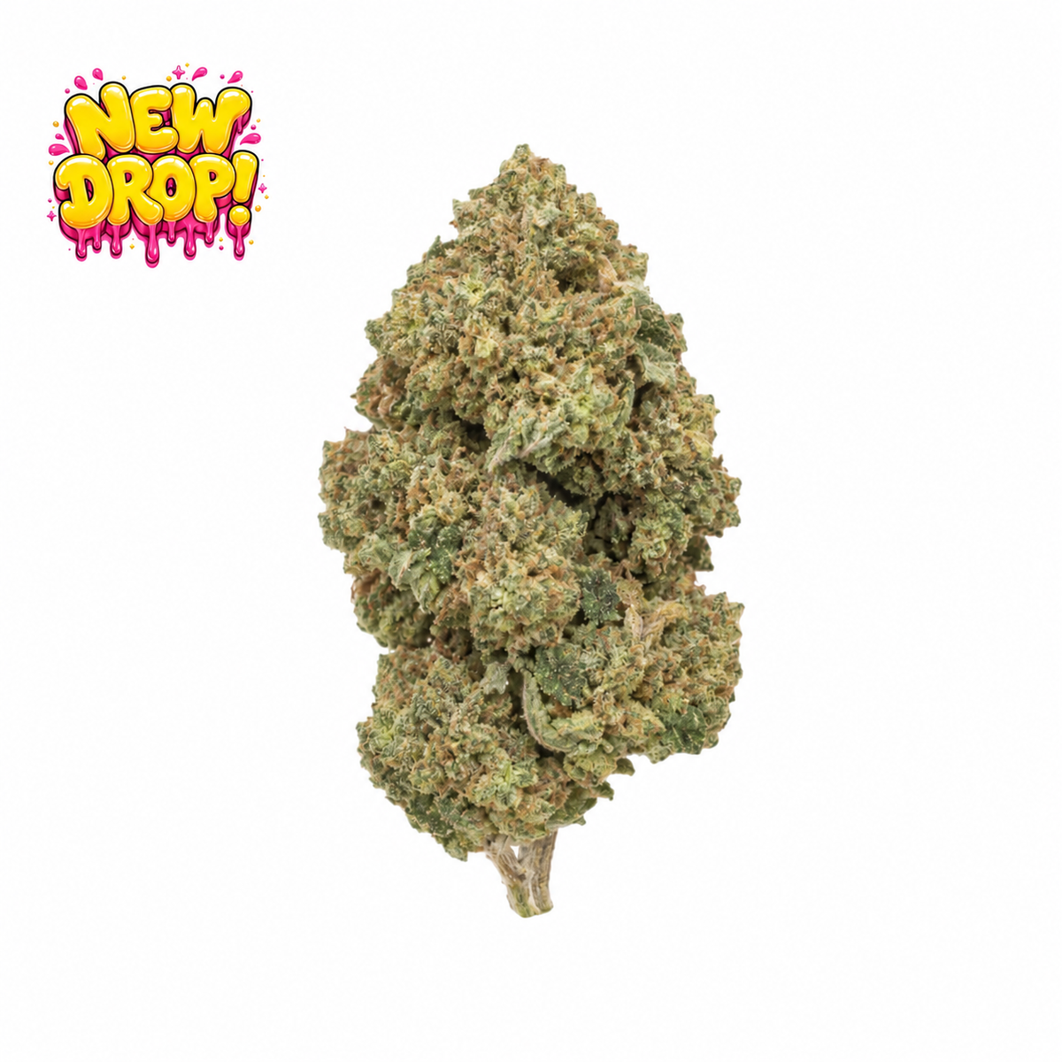Gelato 41 single flower piece with New Drop graphic, illustrative image