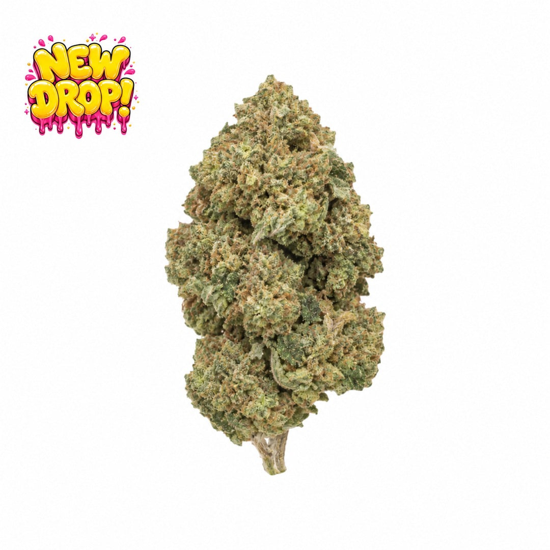 Gelato 41 single nug with New Drop graphic, illustrative
