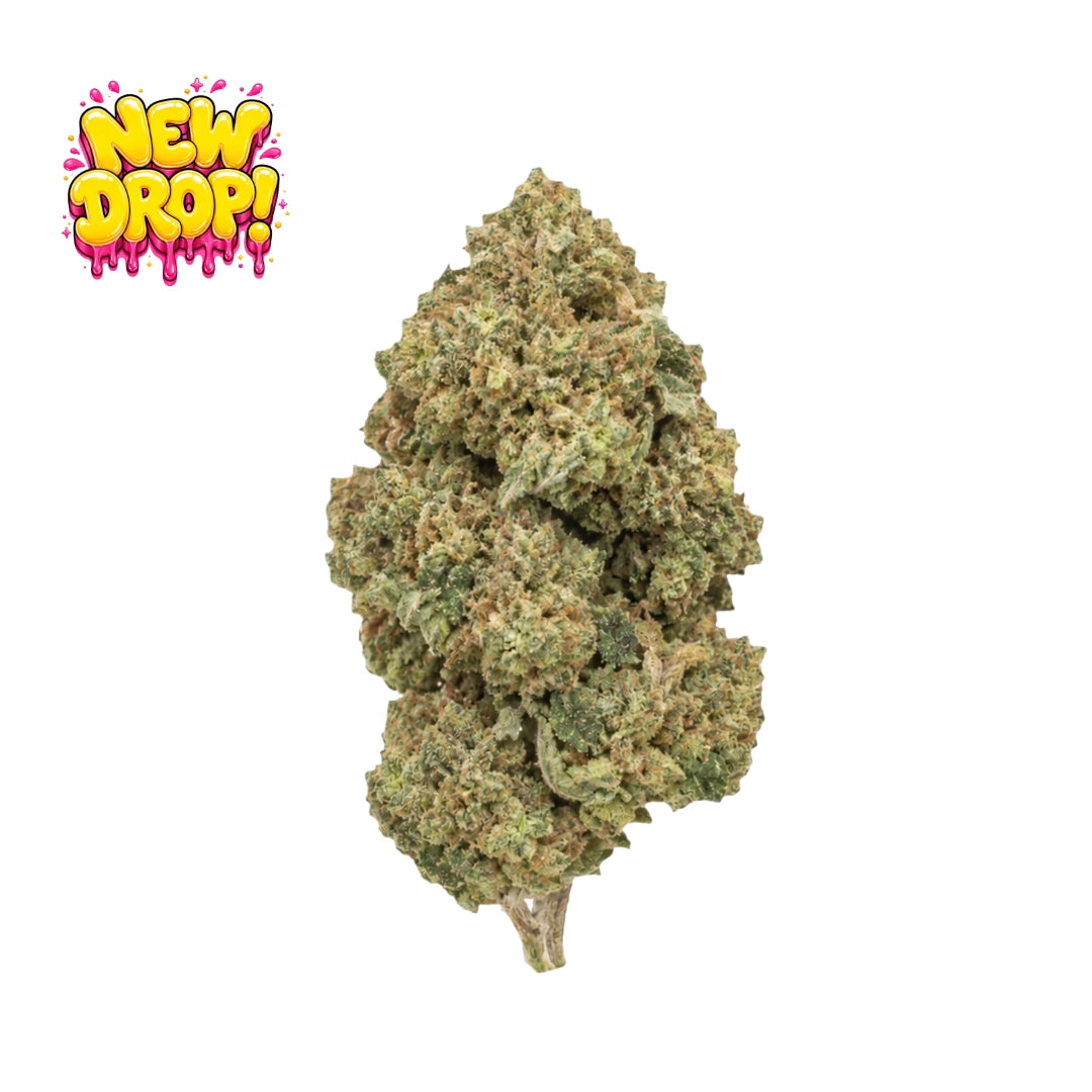 Gelato 41 single nug with New Drop graphic