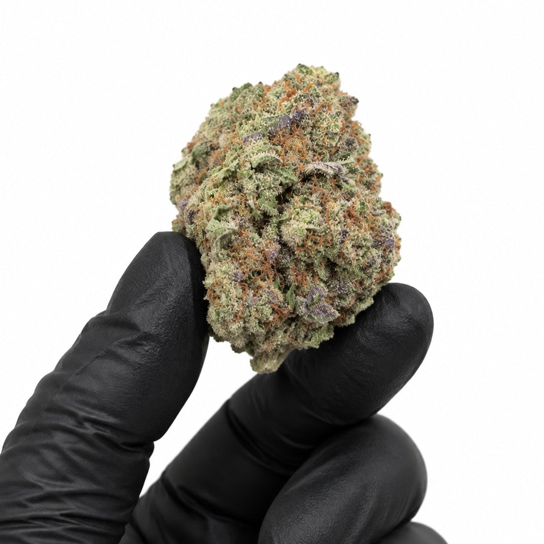 Ghost Ripper 1020 nug held in a gloved hand, illustrative