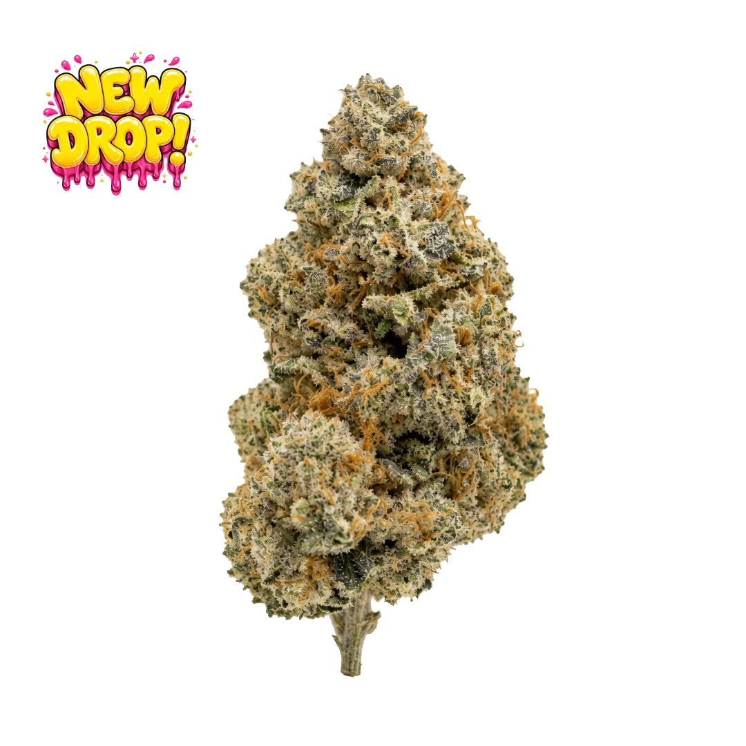 Governmint Oasis single nug with New Drop graphic, illustrative