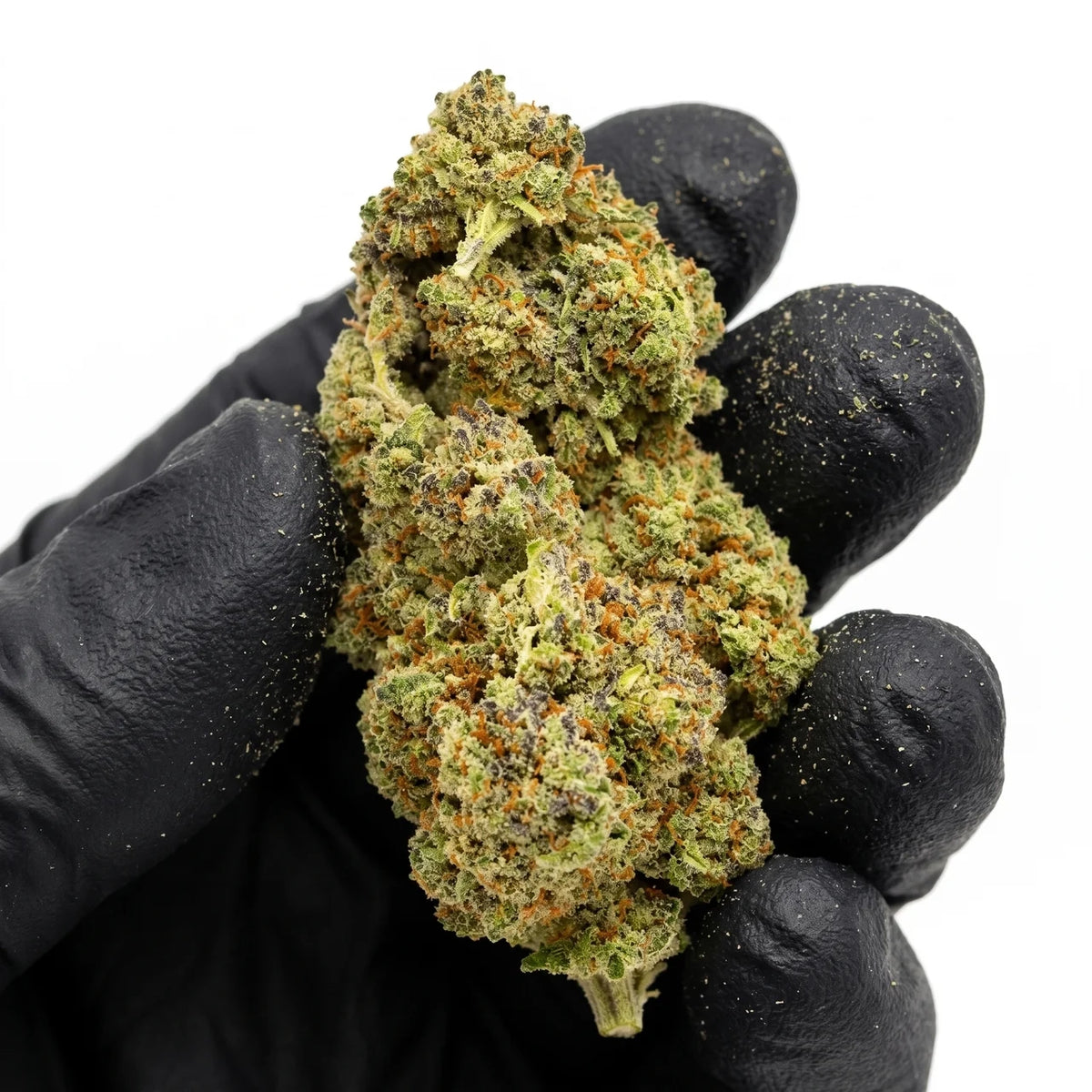 ICC nug held in a gloved hand, illustrative