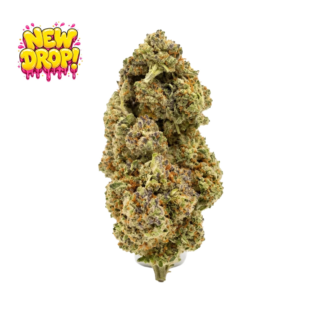 ICC single nug with New Drop graphic, illustrative
