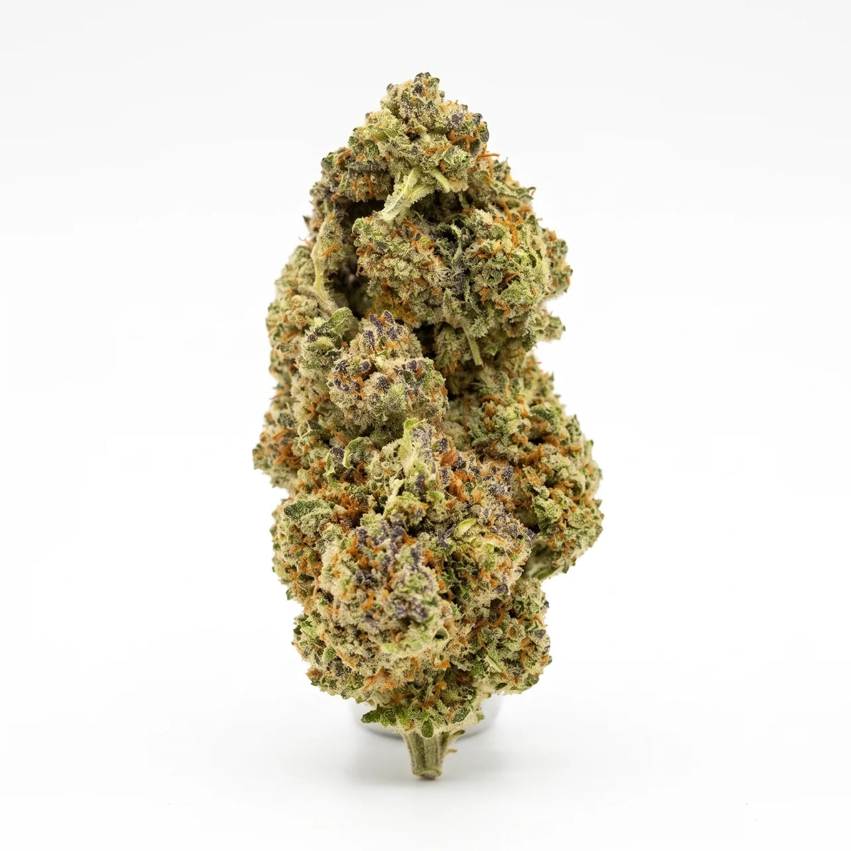 ICC single nug on white, illustrative