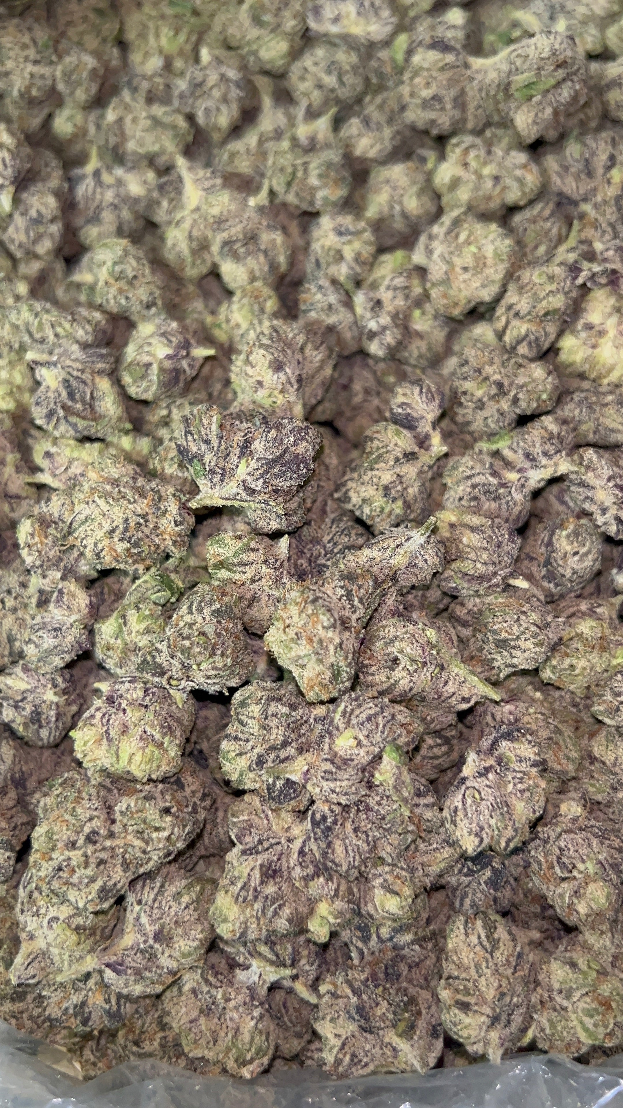 Indoor Candy Smalls