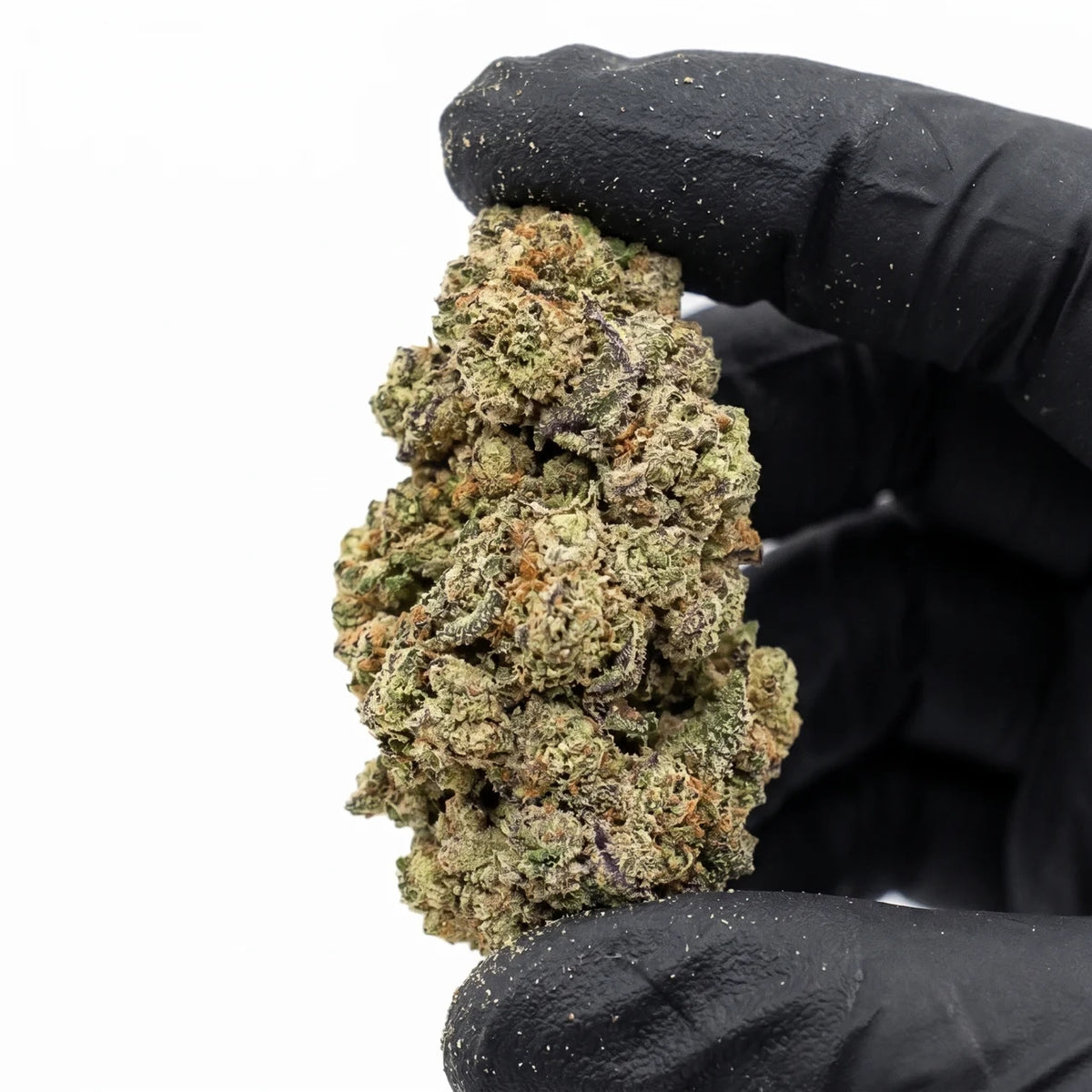 Laffy Taffy Runtz nug held in a gloved hand, real photo