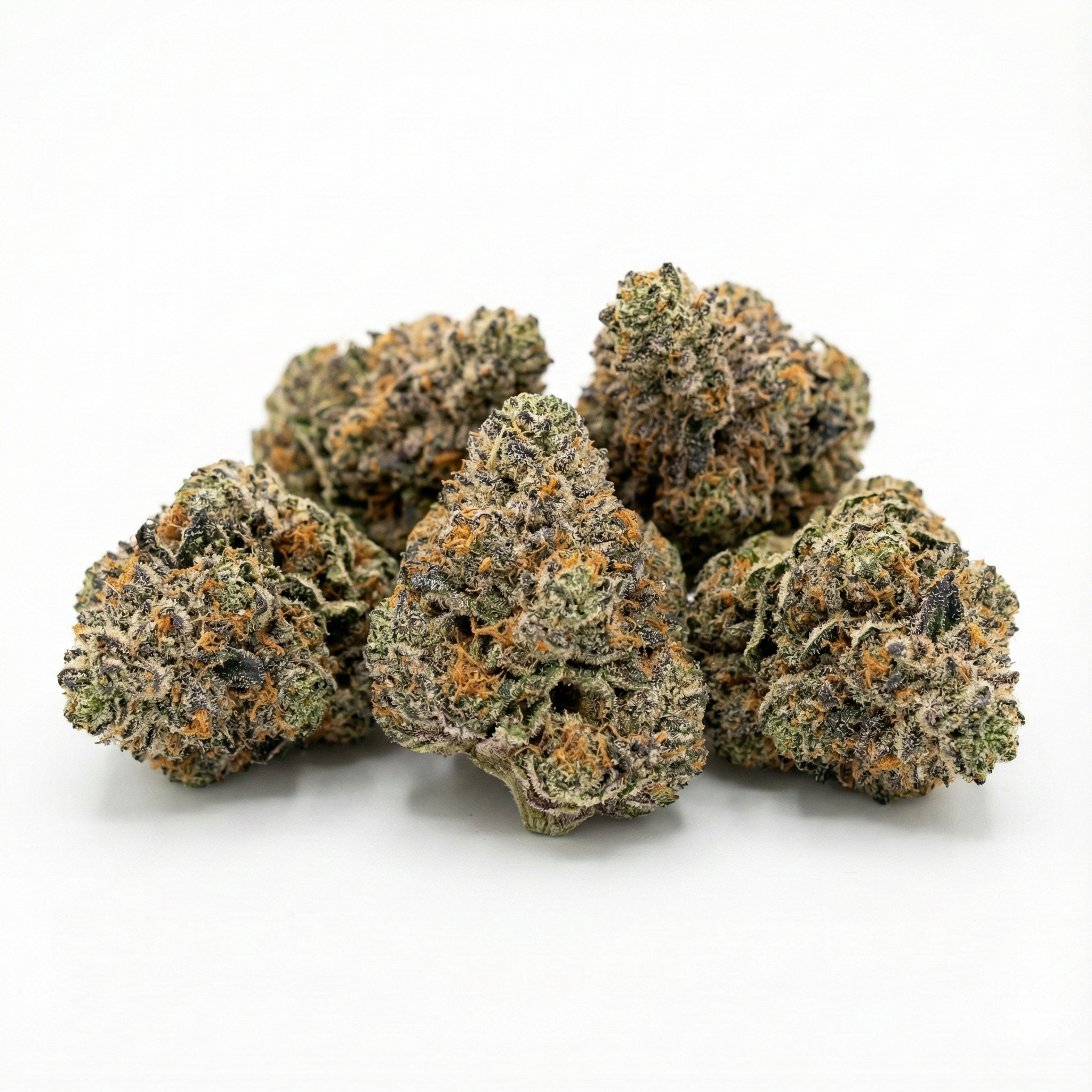 Indoor Bigs Oz