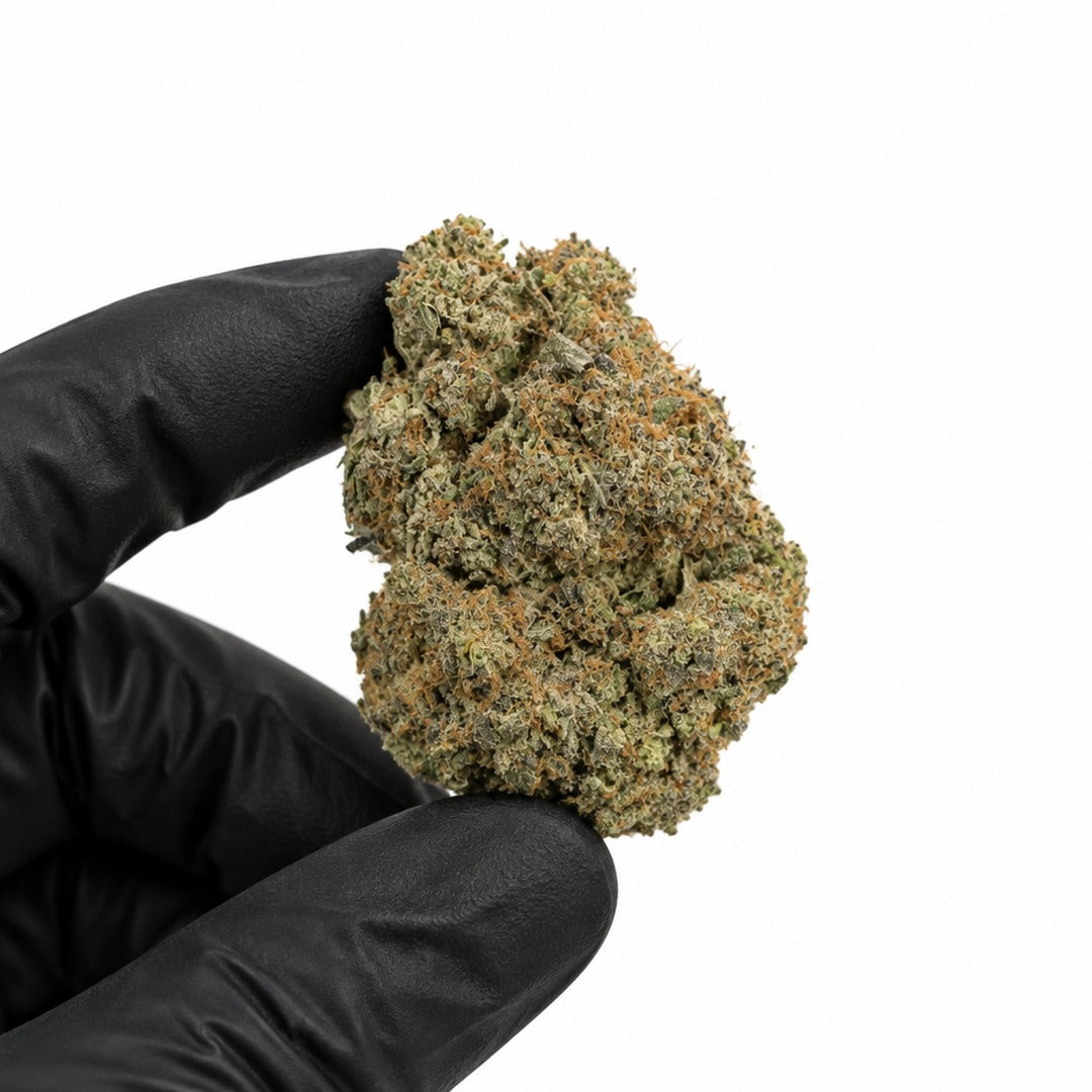 OG Diesel nug held in a gloved hand, illustrative