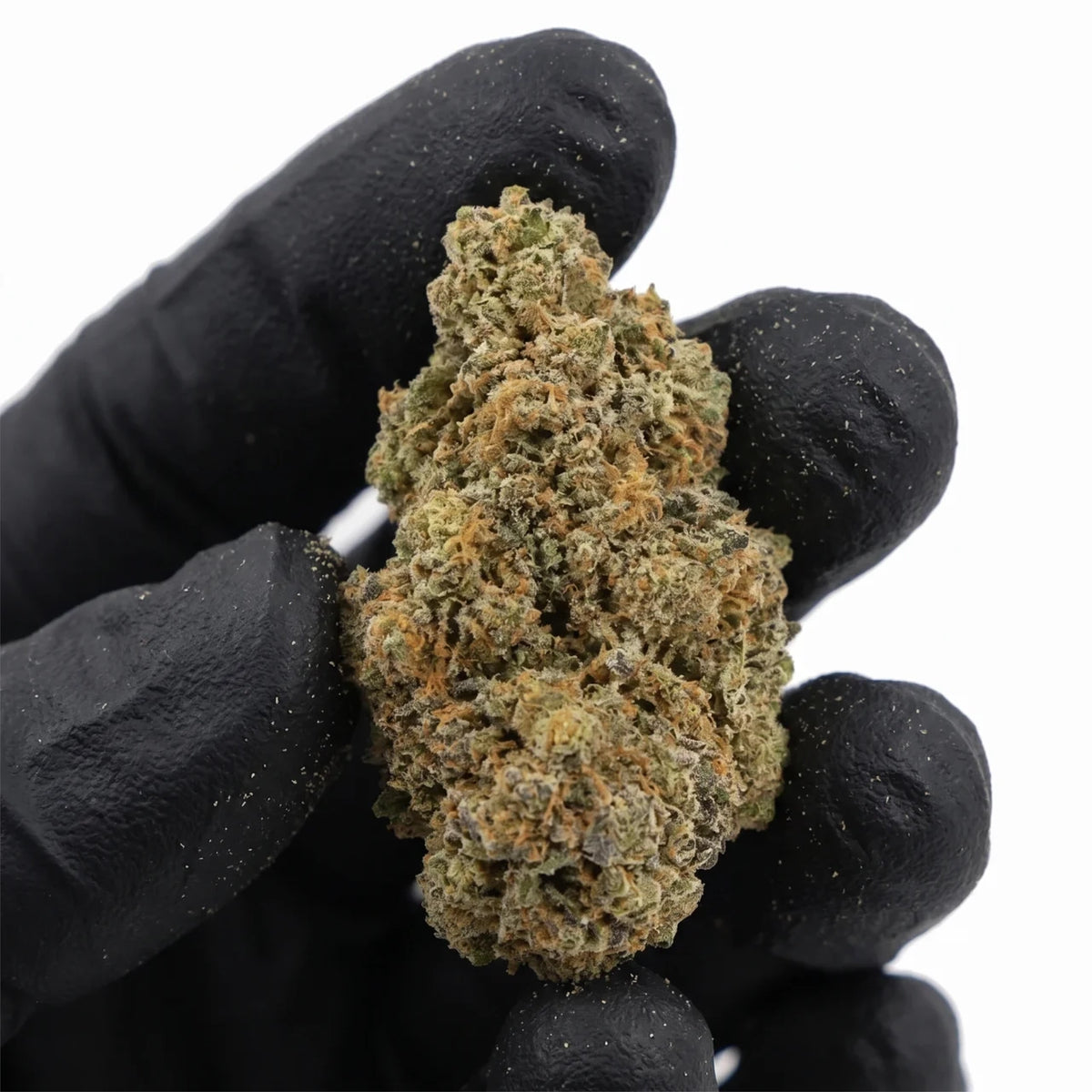 OG Diesel nug held in a gloved hand, real photo