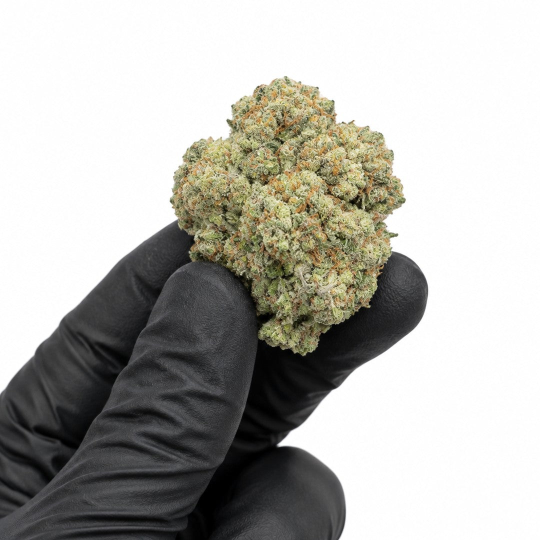 Peach nug held in a gloved hand, illustrative