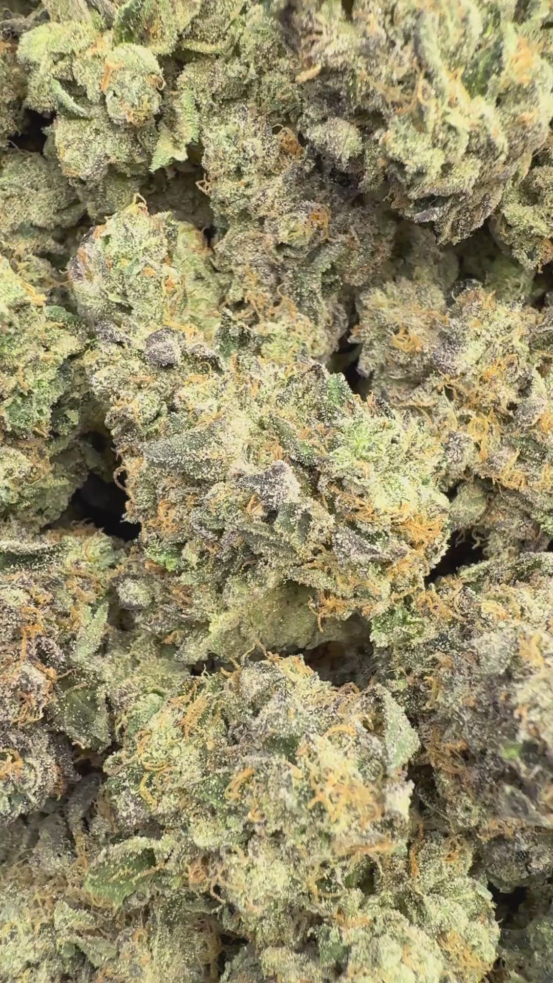 Lemon Cherry Sherb