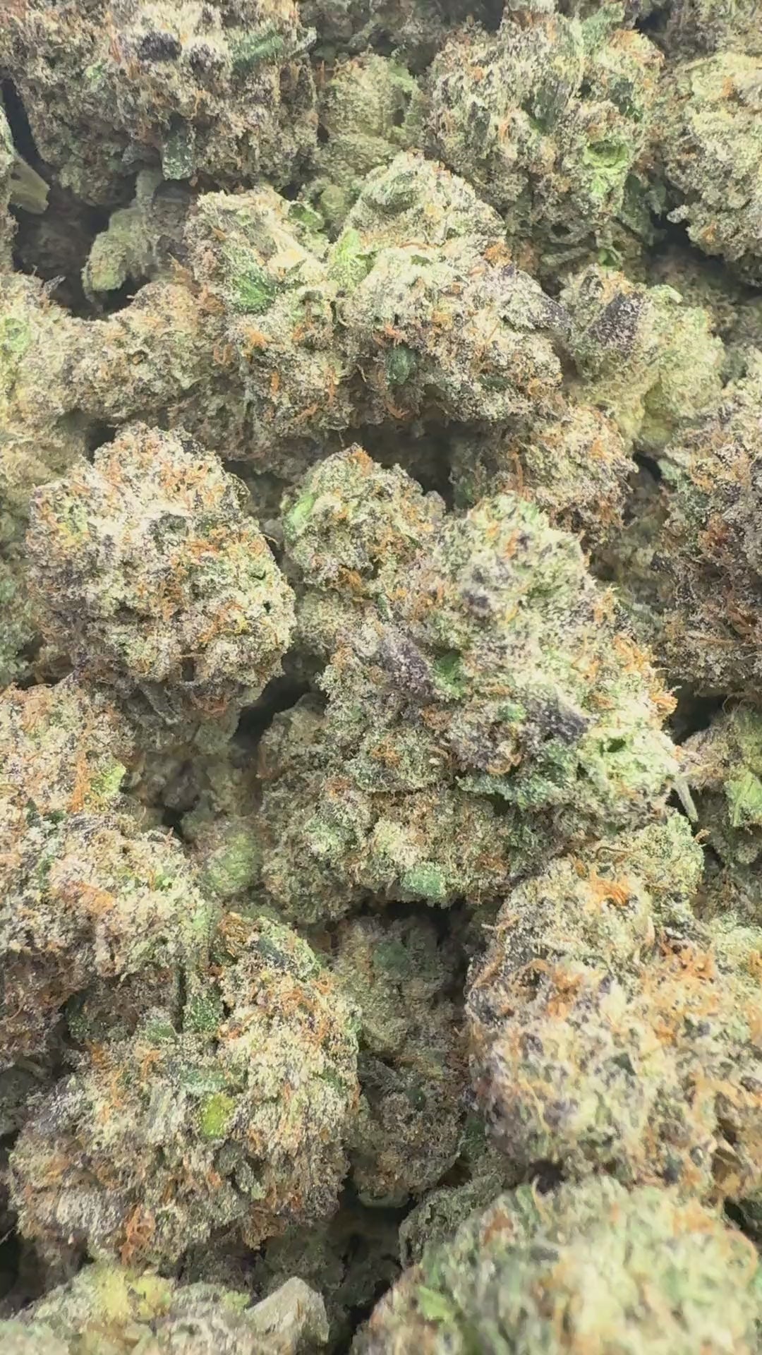 Candy Gelato