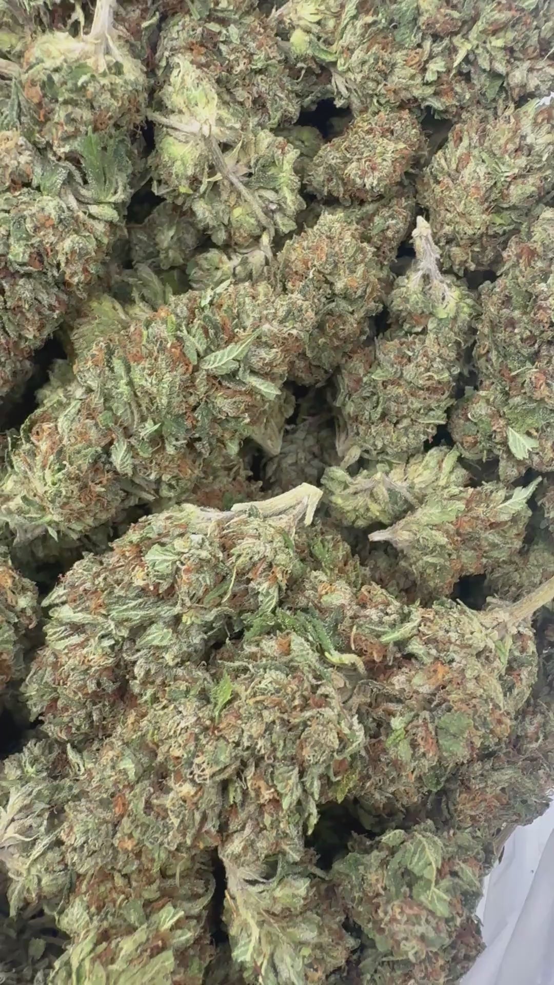 Old Man's OG supplier-menu flower clip