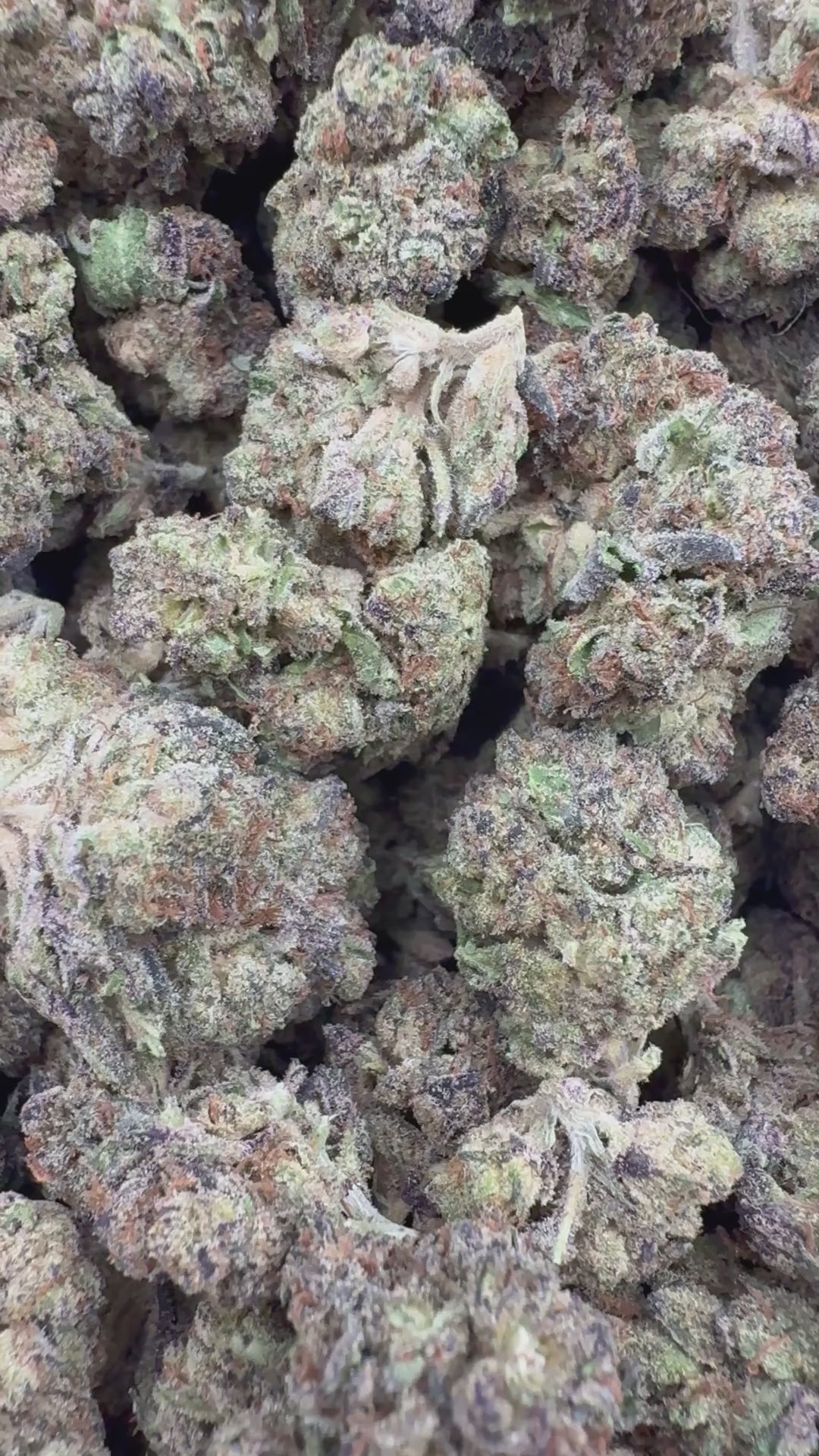 Apple Trufflez supplier flower clip