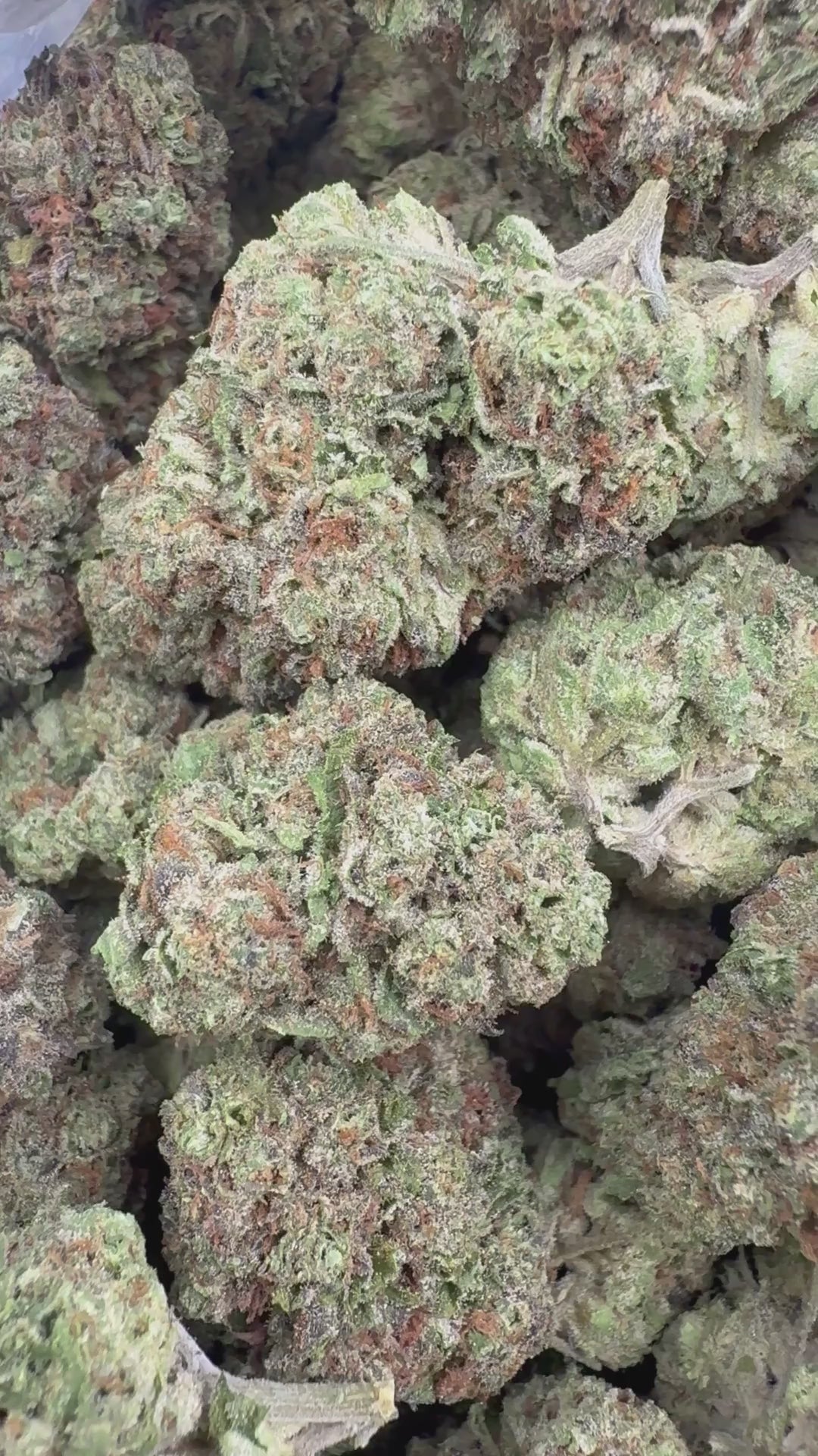 Ghost Ripper 1020 supplier flower clip