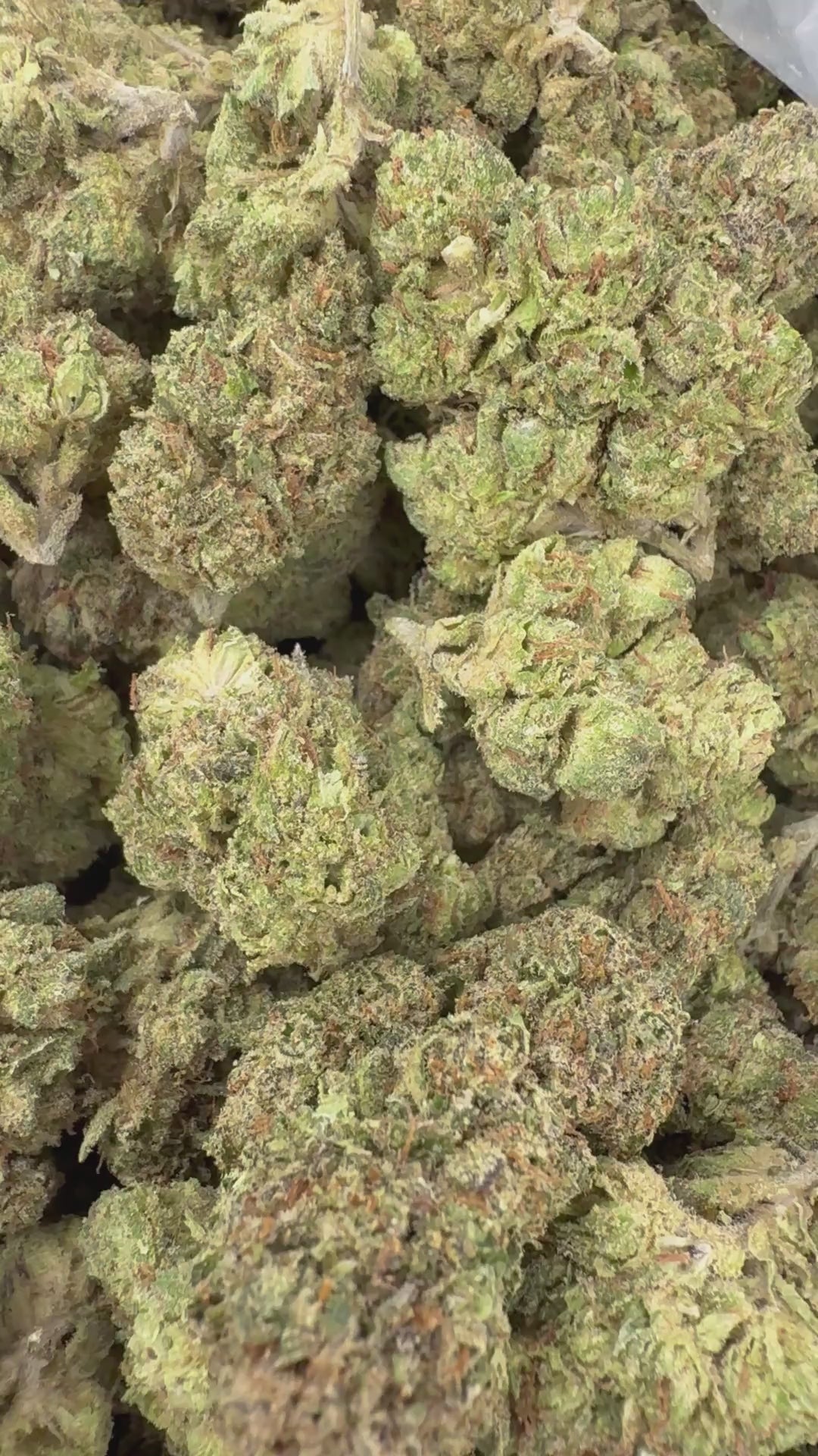 Gorilla Glue supplier-menu flower video